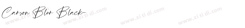 Carson Blur Black字体转换